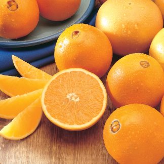 Navel Oranges Sampler – Bob Roth's New River Groves