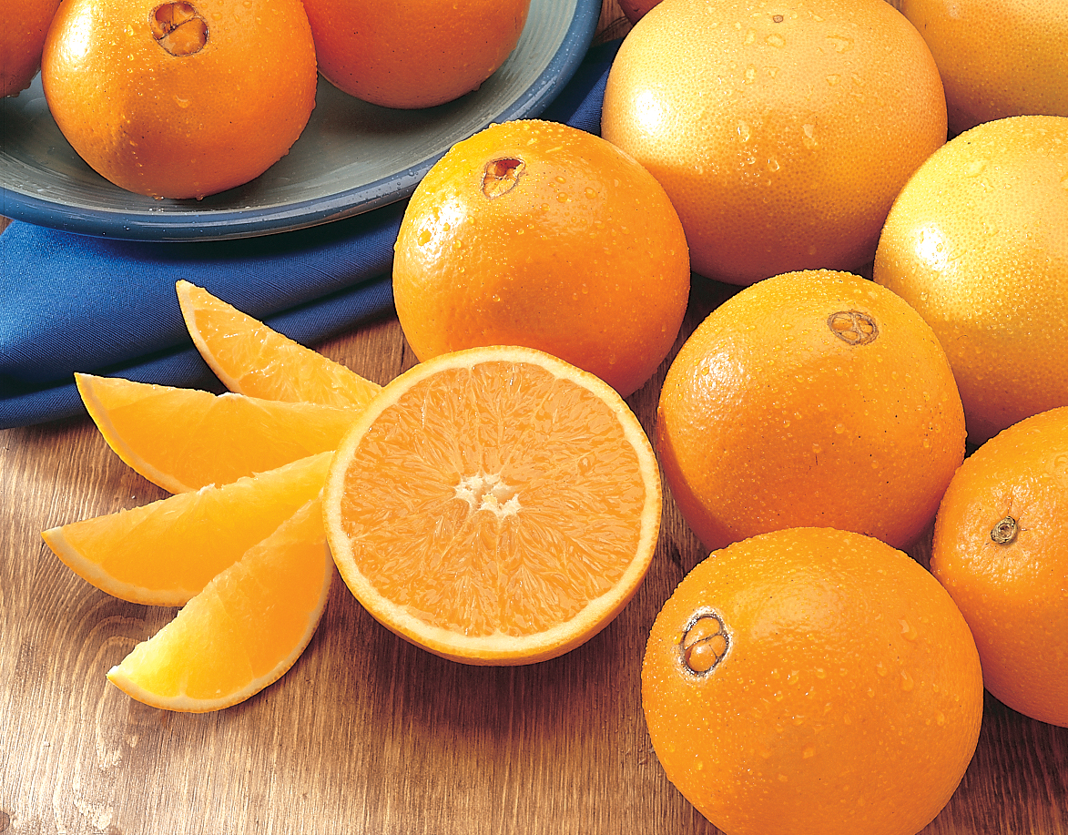 Finest Navel Oranges, Picked Fresh and Shipped