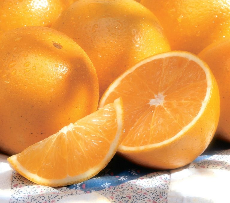 Valencia Oranges from Florida – Bob Roth&amp;#39;s New River Groves