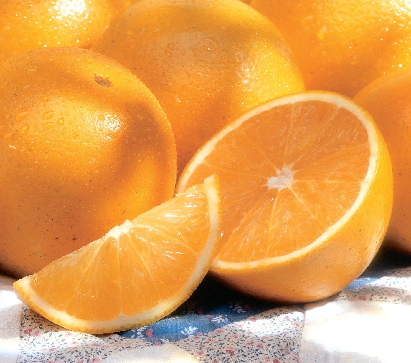 Valencia Oranges from Florida – Bob